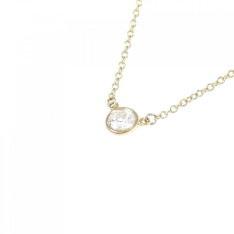 Dây chuyền Tiffany By The Yard - Hàng hiệu Authentic 845852