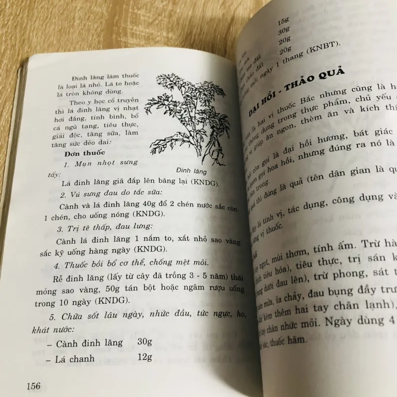 PHÒNG VÀ CHỮA BỆNH BẰNG THỨC ĂN HÀNG NGÀY  1017599