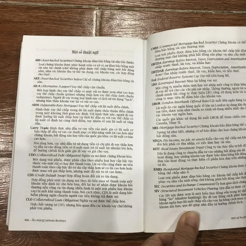 Ảo mộng - Lehman Brothers (7) 721208