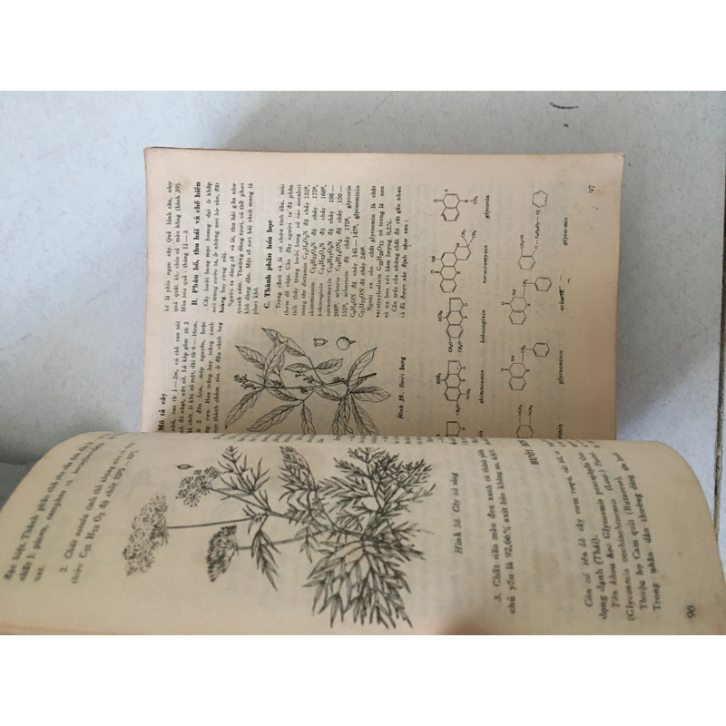 Những cây thuốc và vị thuốc Việt Nam - Đỗ Tất Lợi  (1986) 500075