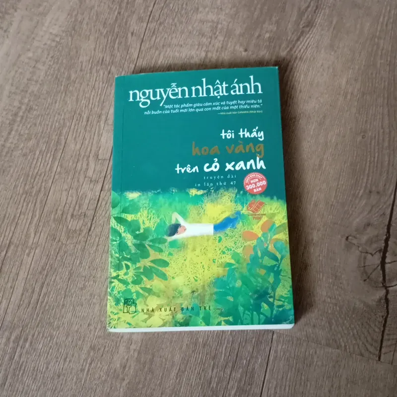 Tôi thấy hoa vàng trên cỏ xanh 577017