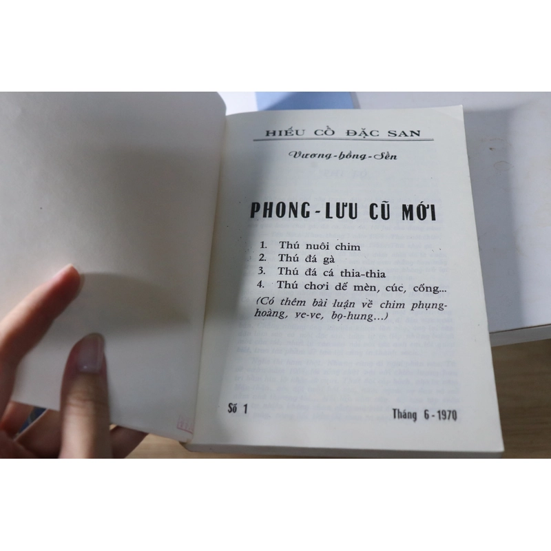 PHONG LƯU CŨ MỚI - VƯƠNG HỒNG SỂN 477476