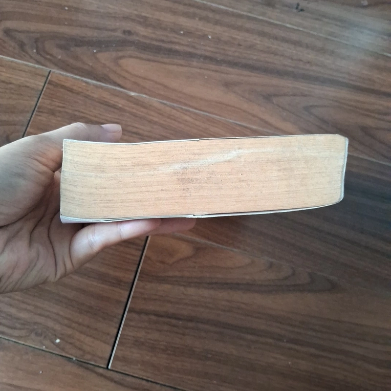 Cậu chủ hồ đồ 510031