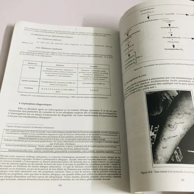 📘 IMMUNOLOGIE – Norbert Gualde Sách khổ to, 270 trang, NXB: 2000  593722