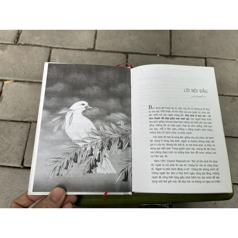 Hòa Bình Niềm Mơ Ước Của Nhân Loại  790805