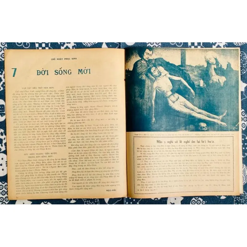 Tạp Chí Mùa Vọng và Sinh Nhật - Mùa Chay và Phục Sinh - xb 5x 788684