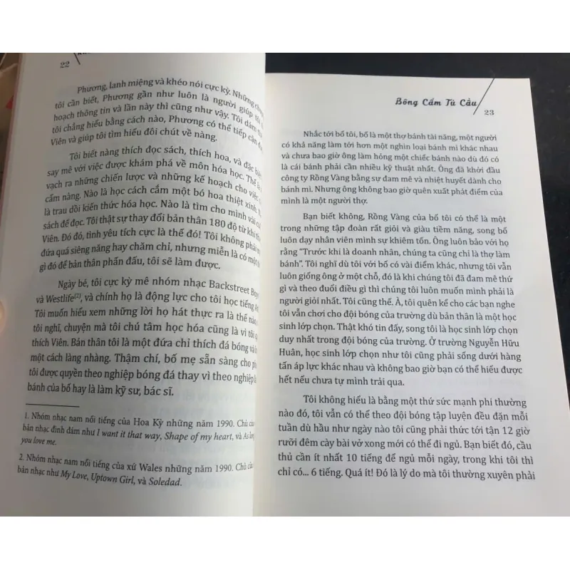 Bông Cẩm Tú Cầu - Khương Teddy 707823