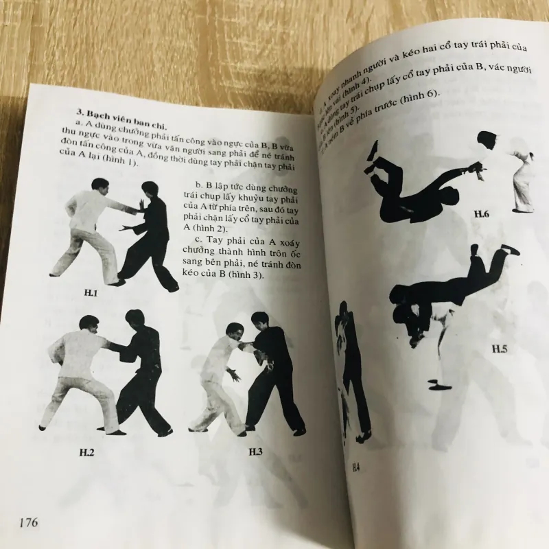 BÁT QUÁI CHƯỞNG ( Hồ Tiến Huân) 1011268