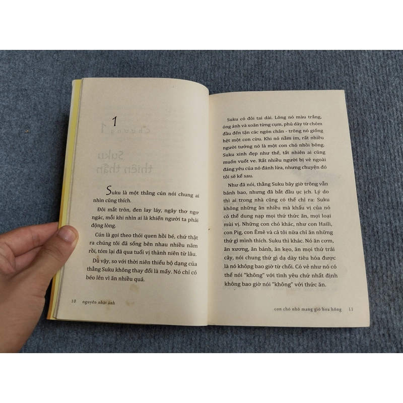 CON CHÓ NHỎ MANG GIỎ HOA HỒNG - NGUYỄN NHẬT ÁNH 552762