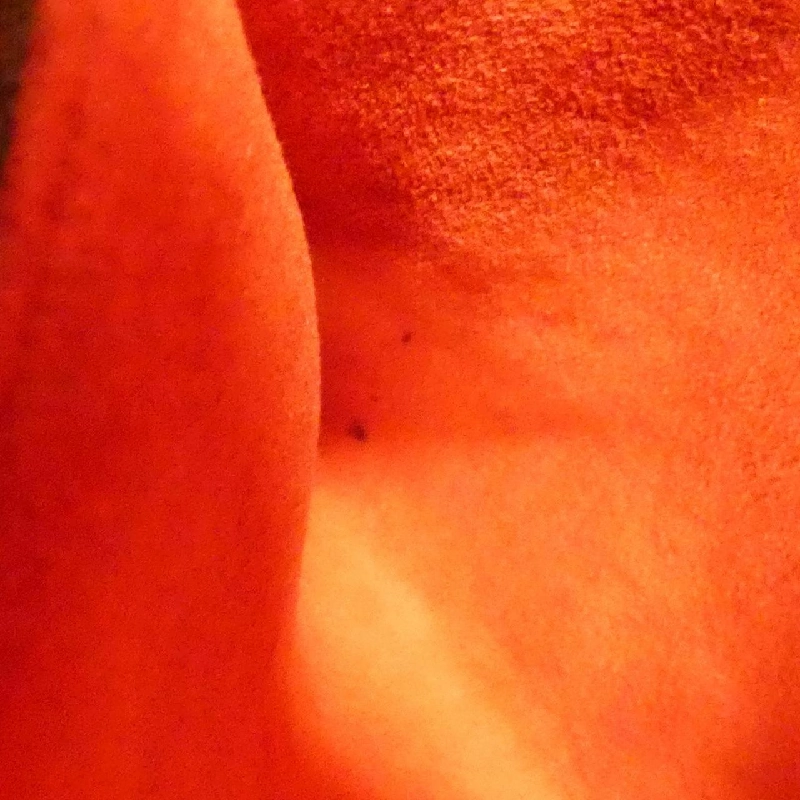 Túi xách vai Damier Maré N42240 - Hàng hiệu Authentic 612843