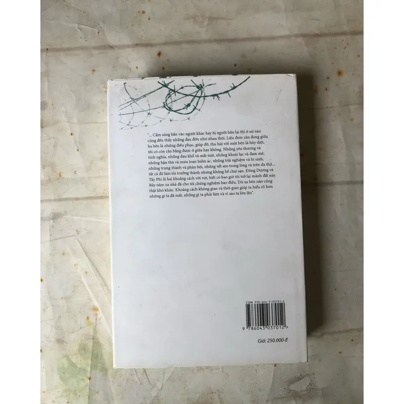 Vùng Biên - Trần Việt Hà 735845