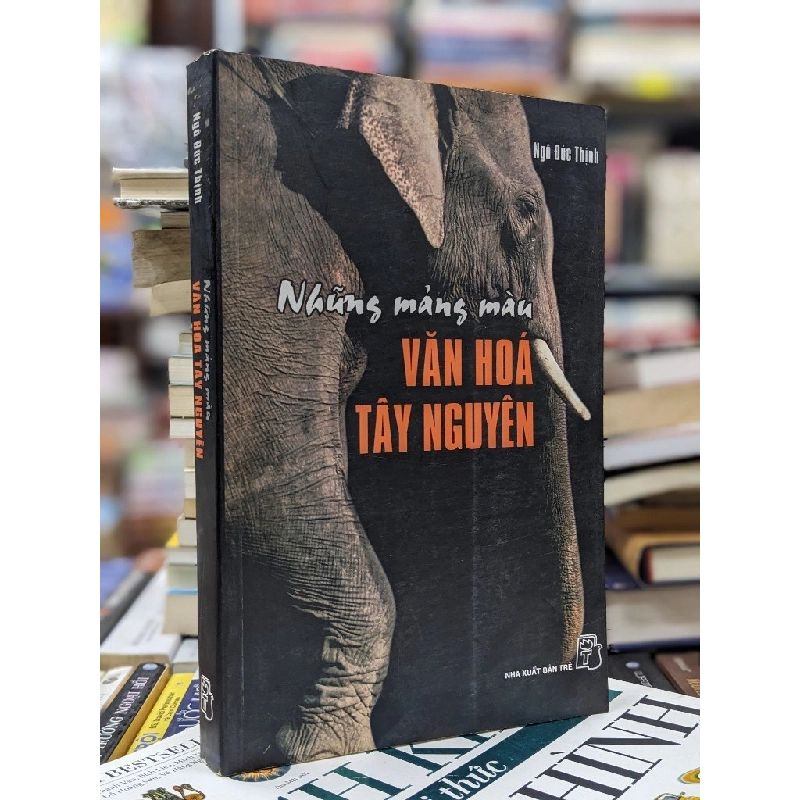 Những mảng màu văn hoá Tây Nguyên - Ngô Đức Thịnh 122869