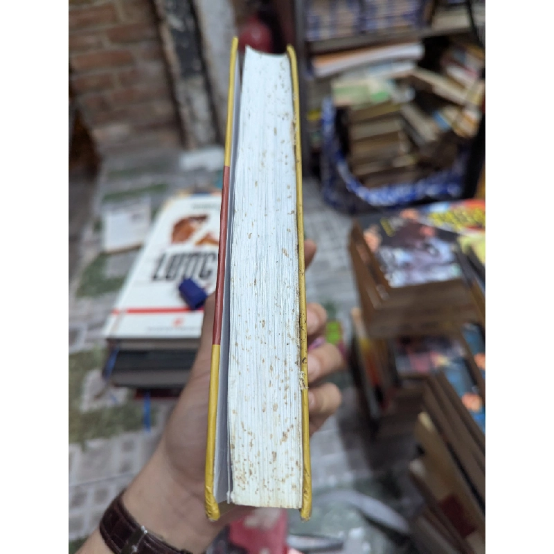Mai hoa dịch tân biên - Vưu Sùng Hoa 127810