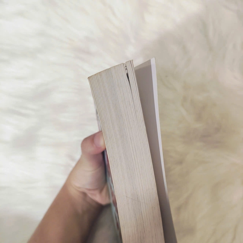 Điện Biên Phủ - Võ Nguyên Giáp 528545
