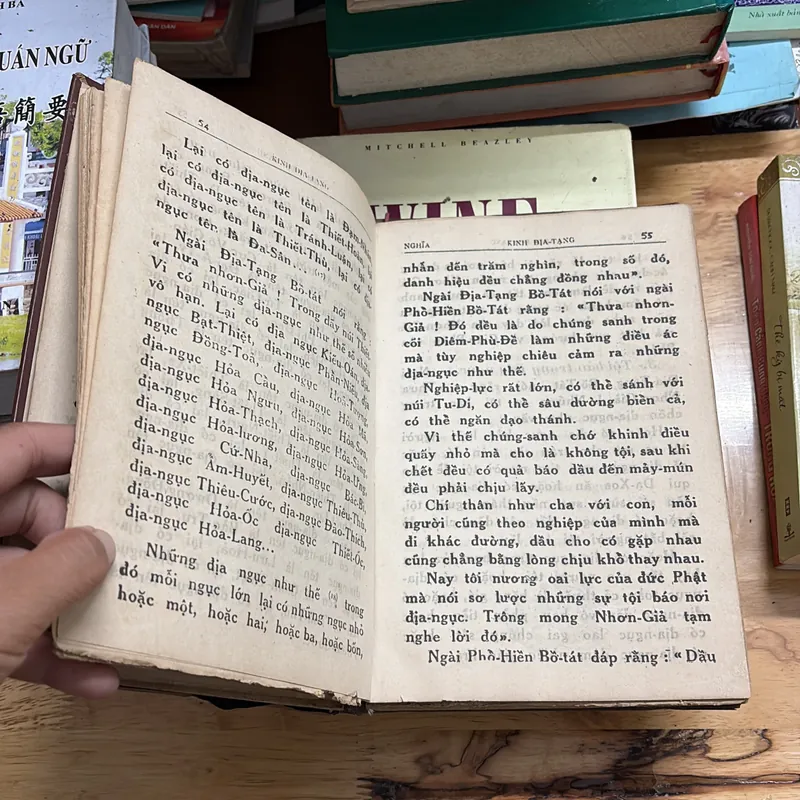 II Sách Phật Giáo: Kinh Địa Tạng - DG. Thích Trí Tịnh - PL. 2534 • 1969 691165
