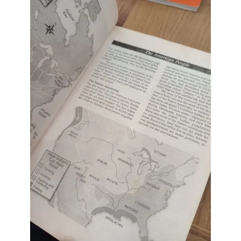 Spotlight on the USA - Randee Falk 550653