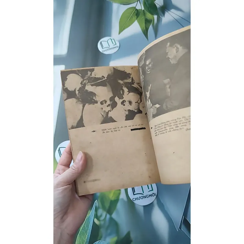 [XƯA] [HIẾM] Xứ Sở Nụ Cười (1984) - Tạ Văn Bảo 997585