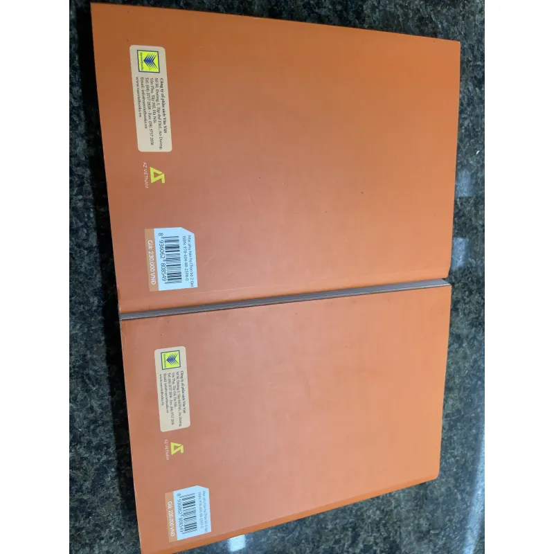 Mạc phụ hàn hạ Đinh Mặc Bộ 2 tập  777965