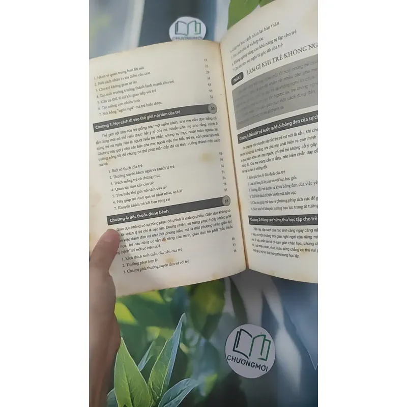 Vì Sao Trẻ Không Nghe Lời - Lưu Diễm 1018925