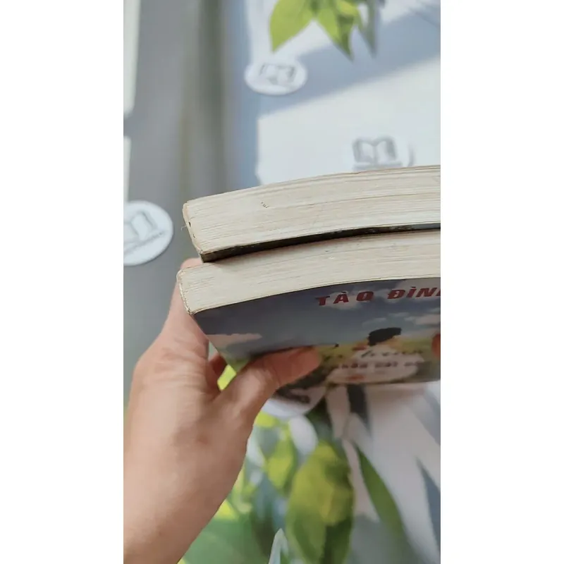 Bộ Kiếp Trước Em Đã Chôn Cất Cho Anh - Tào Đình 744693