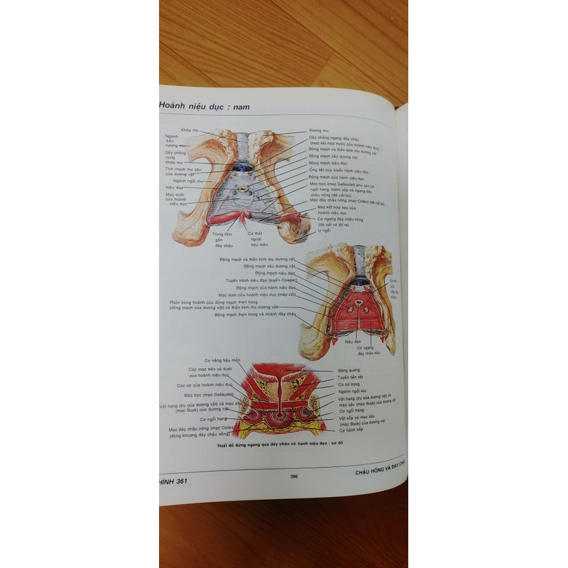 ATLAS GIẢI PHẪU NGƯỜI  541095
