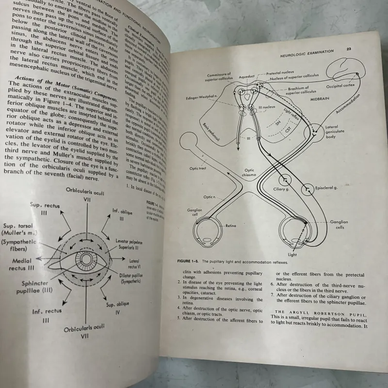 Medical Neurology 1041226