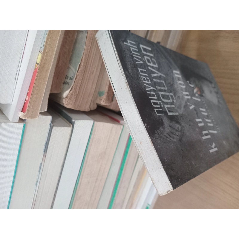 Khu vườn lưu lạc - Nguyễn Vĩnh Nguyên 1004306