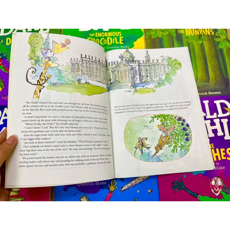 Roald Dahl Collection (Sách nhập) - 20 quyển sách màu - Khổ to A4 937275