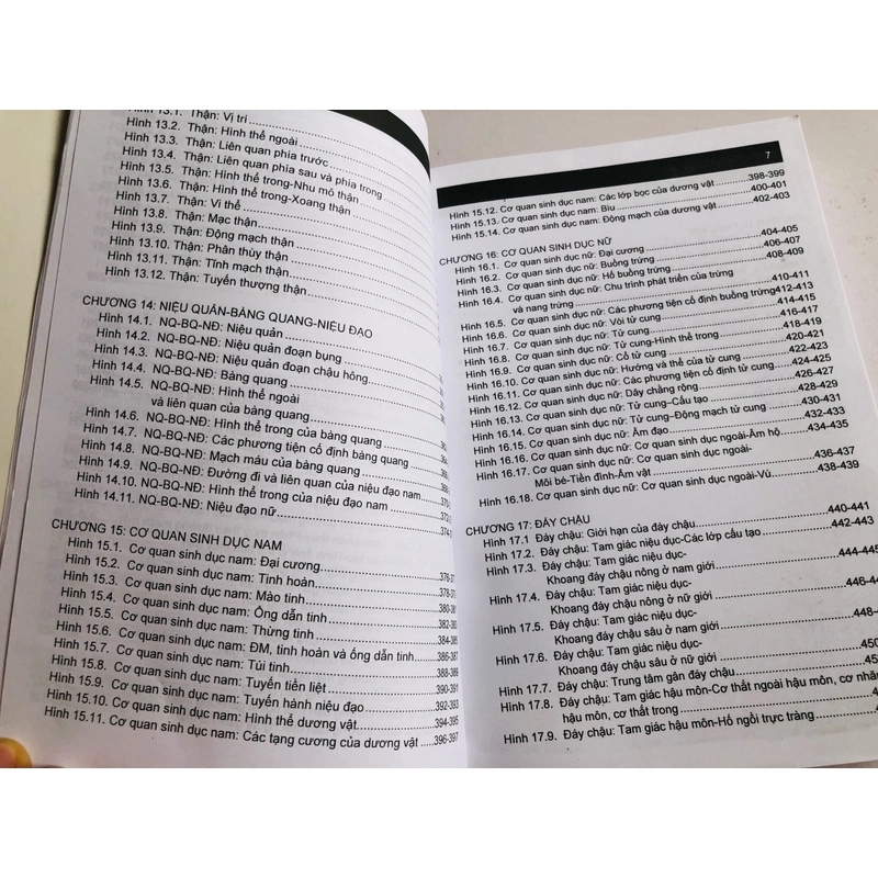 GIẢI PHẪU NGỰC - BỤNG / GIẢI PHẪU NGƯỜI  530569