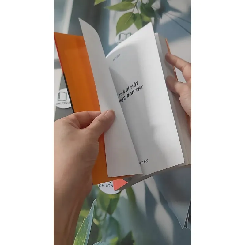 Khám Phá Bí Mật Khuôn Mặt Và Bàn Tay - Từ Liêm 928504