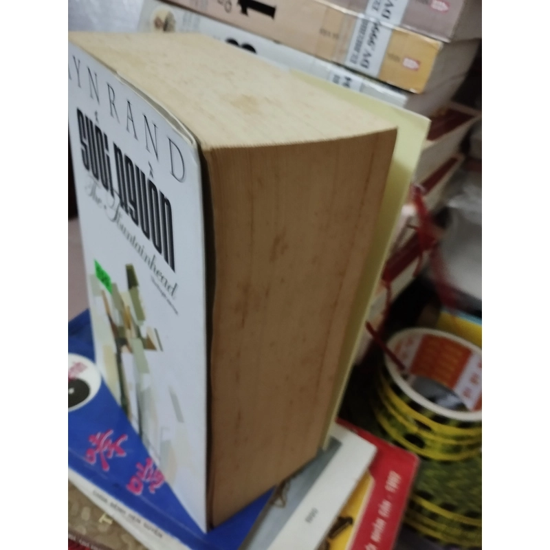 Suối nguồn 500332