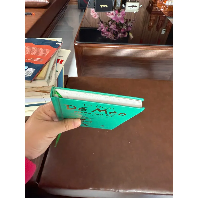 DẾ MÈN PHIÊU LƯU KÝ – Tô Hoài (Bìa cứng, minh họa đẹp) 974120