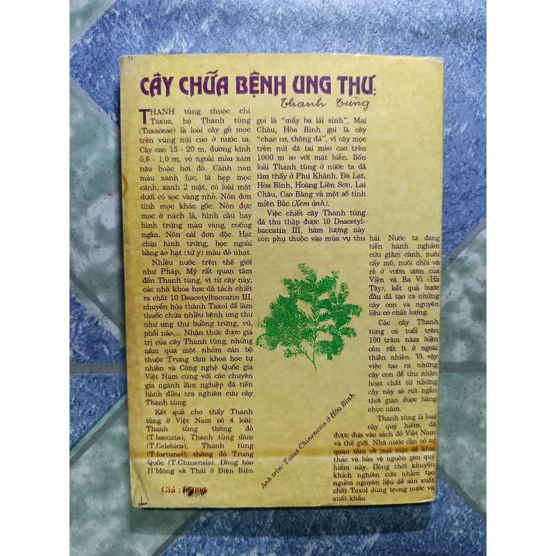 Đông Y trị ung thư - Gs Trần Văn Kỳ 1006283