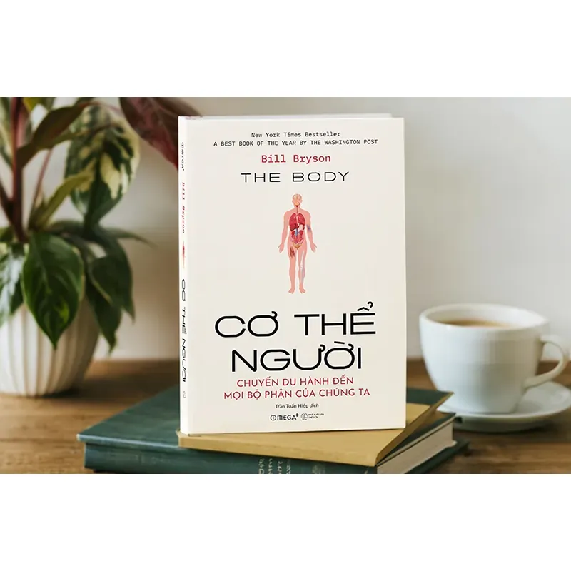 Cơ thể người chuyến du hành đến mọi bộ phận của chúng ta | Bill Bryson 746718