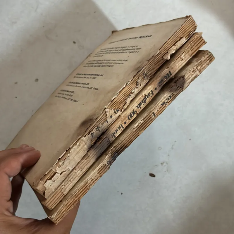 New English 900 (4, 5, 6) 1009197