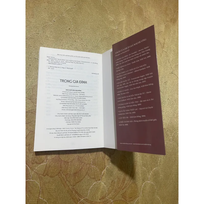 COMBO KHÔNG GIA ĐÌNH+TRONG GIA ĐÌNH- HECTOR MALOT 559426