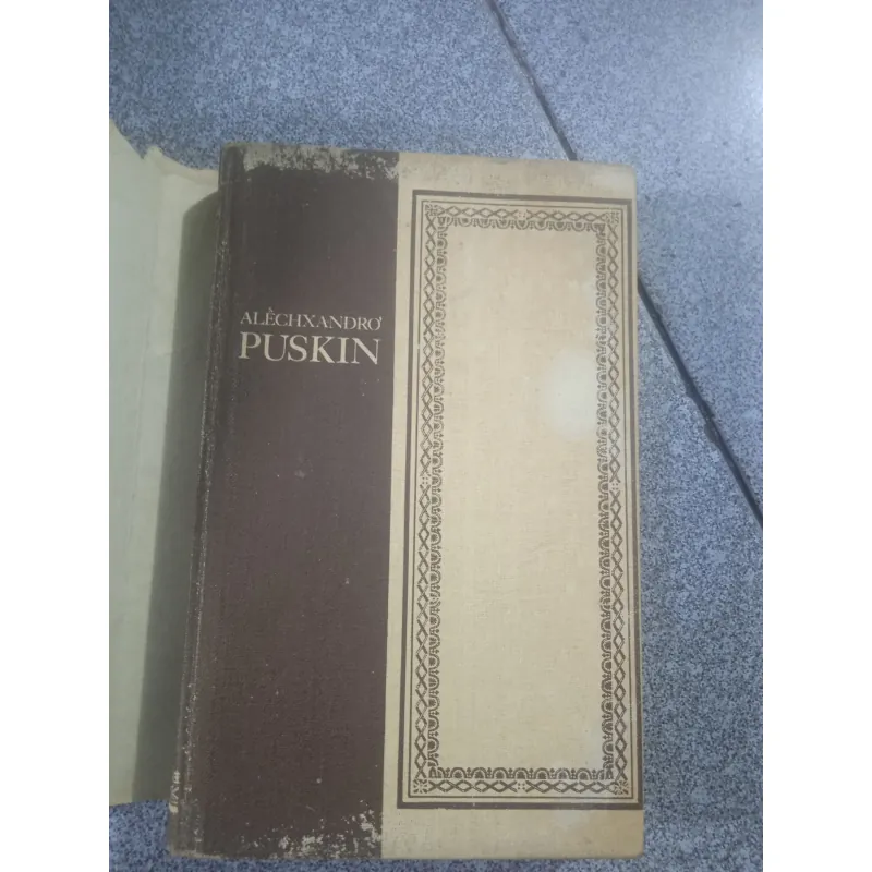 Sách Tiểu thuyết Chuyện đời Puskín của Alekxandro Puskín cũ 783274