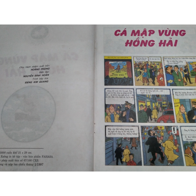 Tintin cá mập vùng hồng hải  502877