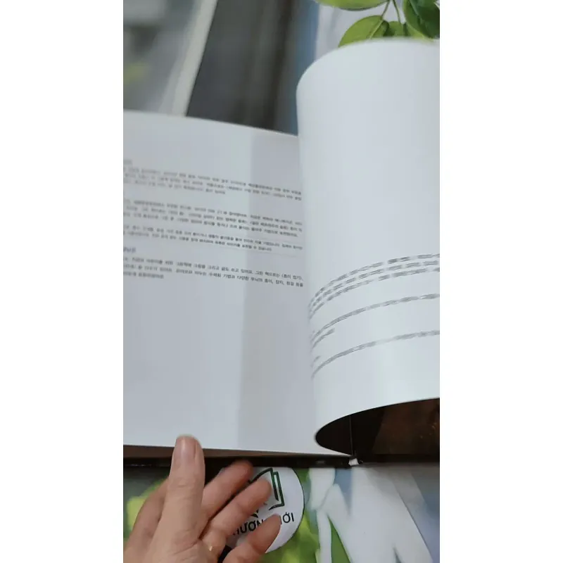 [Tặng nẹp góc] Truyện thiếu nhi Hàn Quốc: Moyamo Anu 35 -  모야모 아누와: 마법의 알 732032