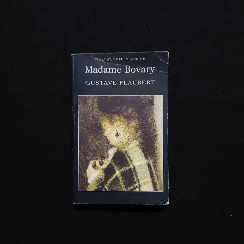 [Sách Cũ Ngoại Văn] Madame Bovary 792465