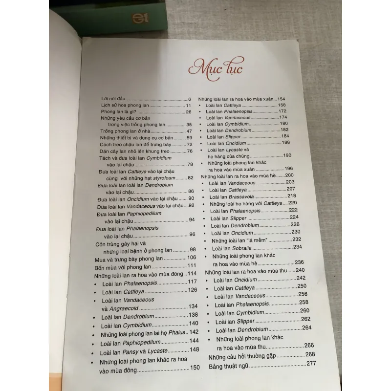 Bốn mùa với phong lan 778942