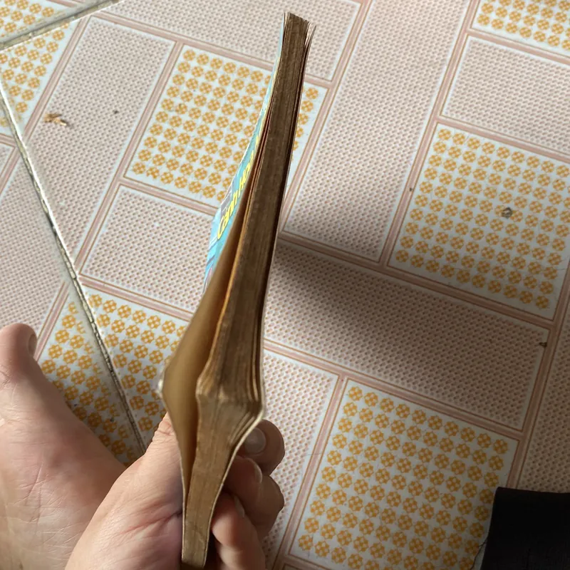 Cánh hoa màu đỏ 603709