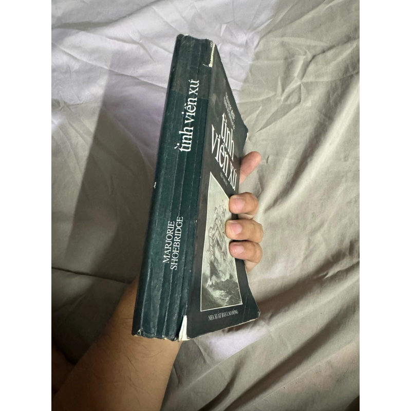 Tình viễn xứ 516511