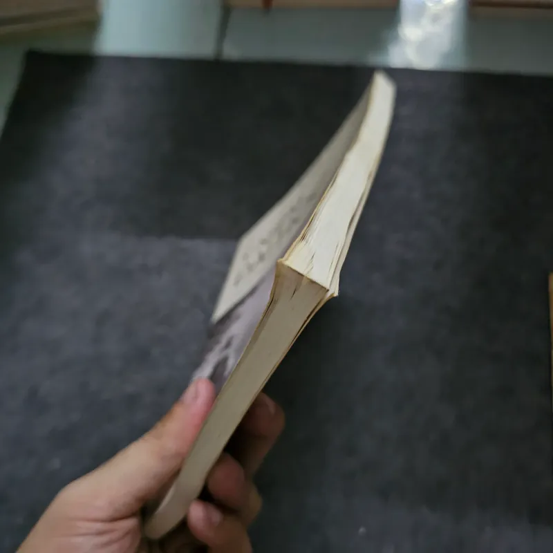 Ý niệm đại học - Karl Jaspers 745478