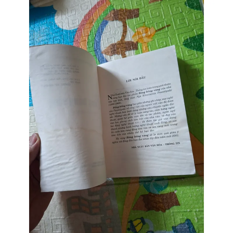 Bông Hồng Vàng 976118