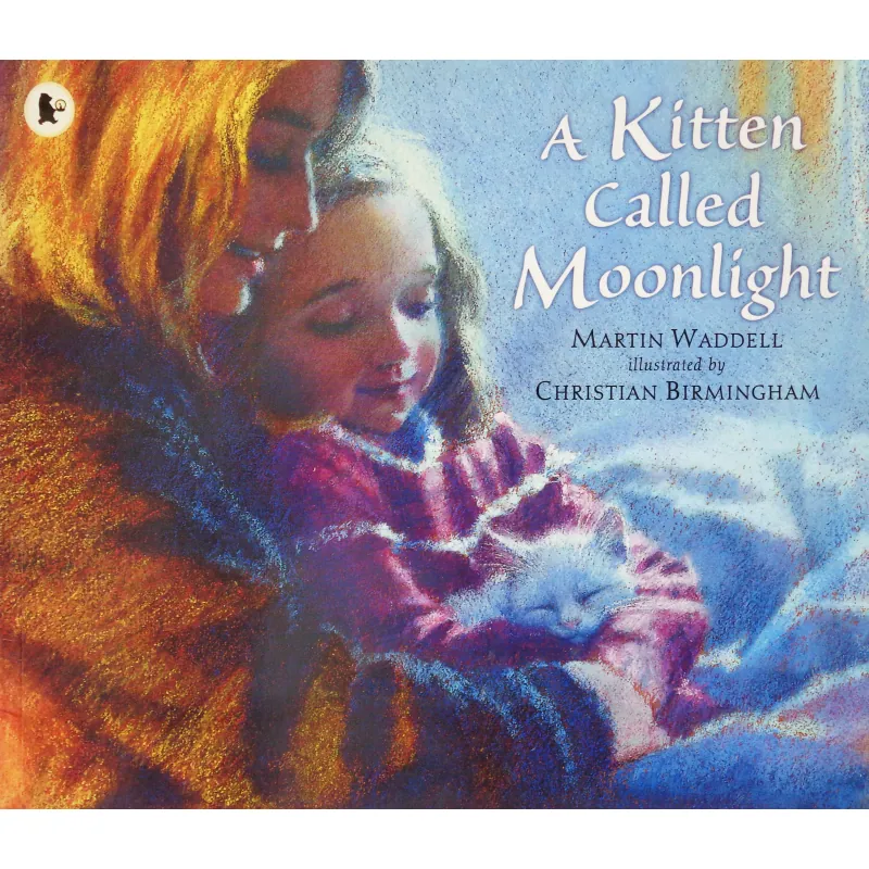 Kitten called moonlight 7939