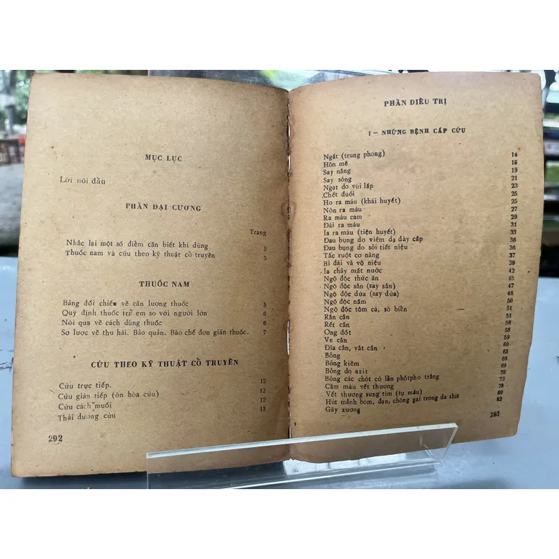 CHỮA BỆNH CẤP CỨU VÀ CẤP TÍNH THÔNG THƯỜNG BẰNG THUỐC NAM 589796