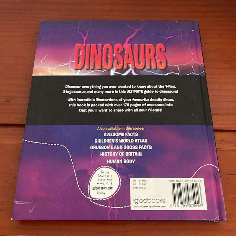 PICTURE BOOK Dinosaurs 534291
