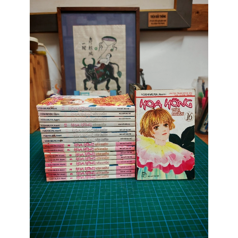 TRUYỆN TRANH HOA HỒNG TÓC NGẮN - YOSHIMURA AKEMI 324429