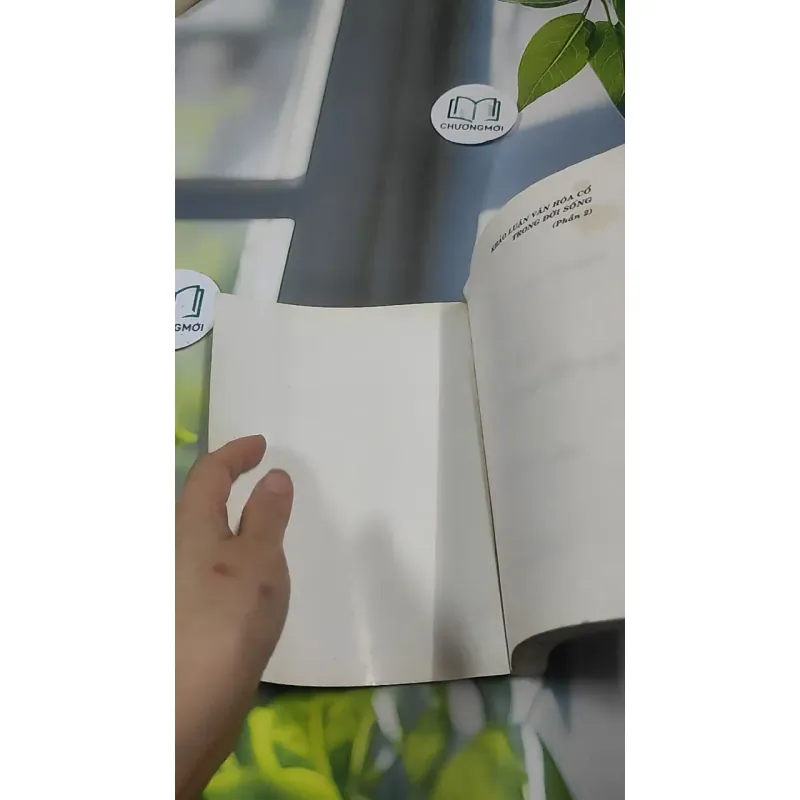 Người Đàn Bà Trong Tướng Mệnh - Lê Thành 727384